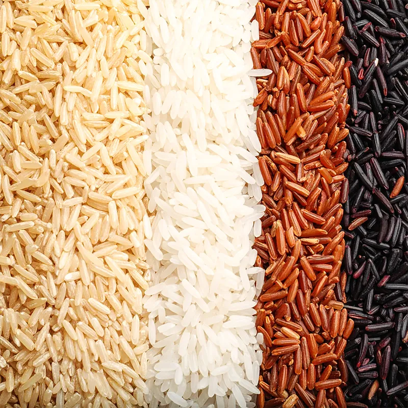 Negocio de alimentos