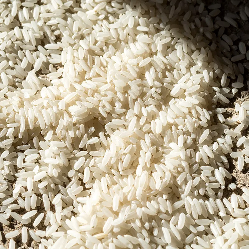 Arroz envejecido